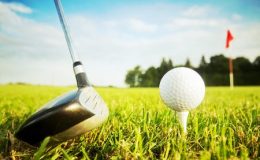 Playing golf. Club and ball on tee